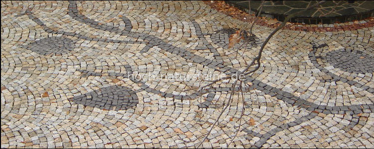 Laban T1 und Nordit T1