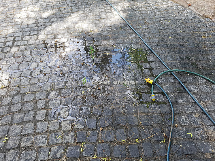 Laban, Nordit und Miod