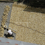 Sandsteinpflaster gelb 8/11 cm Flavus aus Schlesien